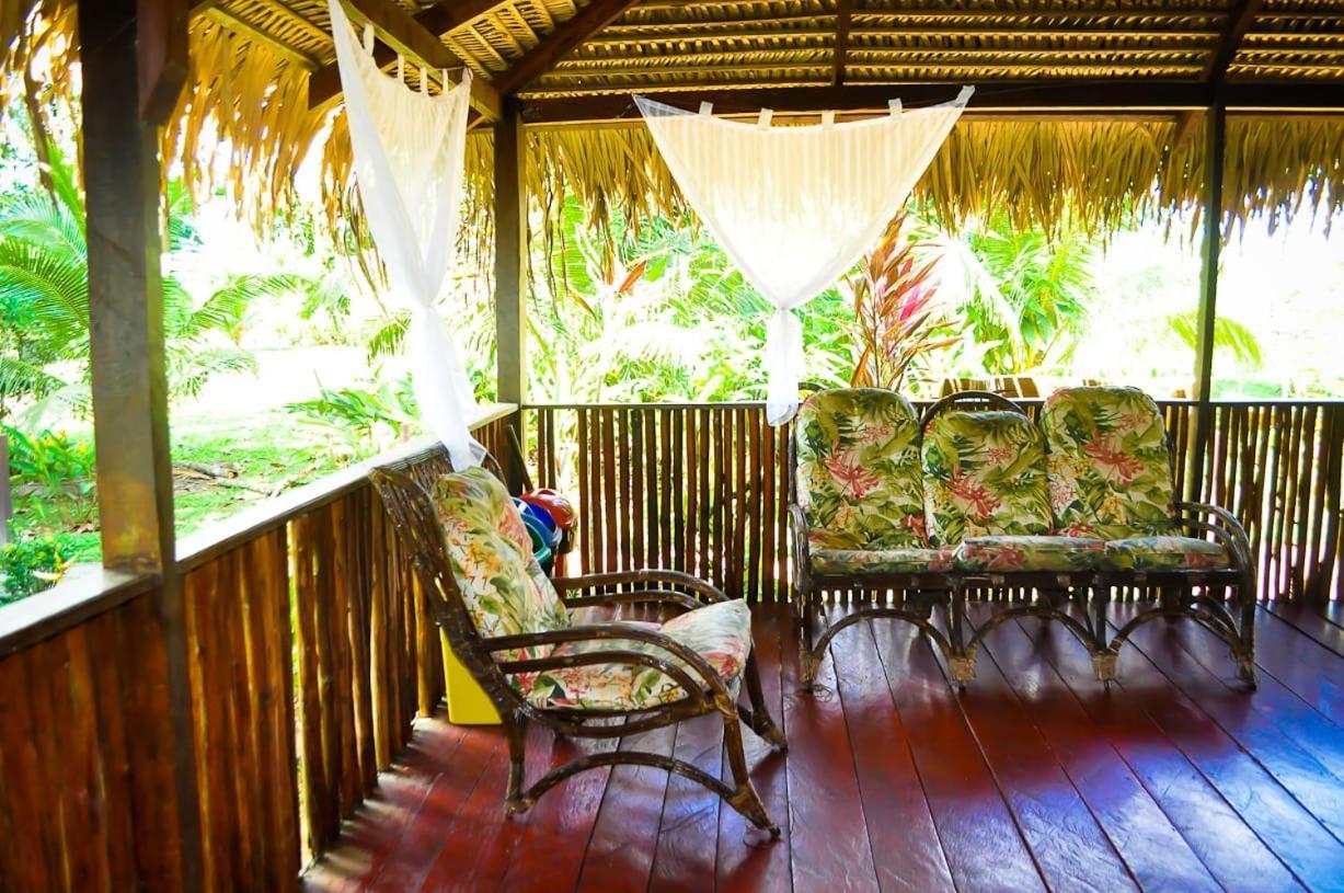 Amazon Turtle Lodge Careiro Exterior foto